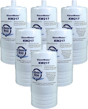 KleenWater AP217 Aqua-Pure Replacement Filter